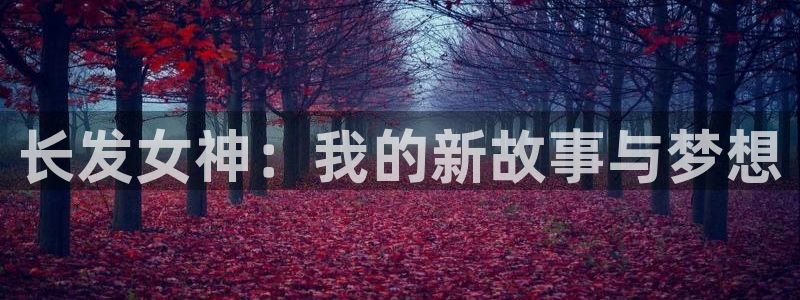 51动漫官网下载